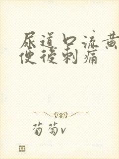 尿道口流黄脓小便后刺痛封面