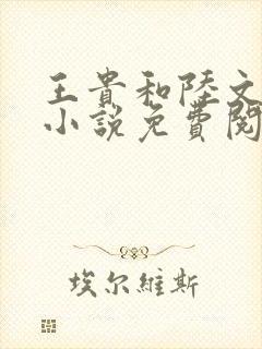 王贵和陆文婷的小说免费阅读下载封面