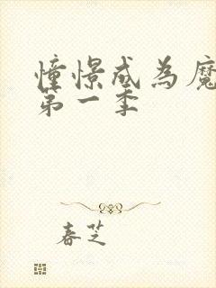 憧憬成为魔少女第一季