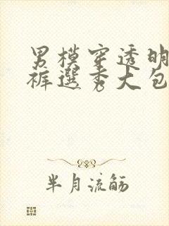 男模穿透明三角裤选秀大包