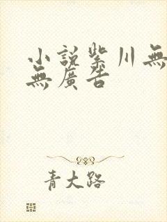 小说紫川无弹窗无广告