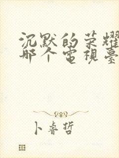 沉默的荣耀现在哪个电视台在播放