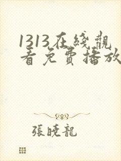 1313在线观看免费播放电视剧