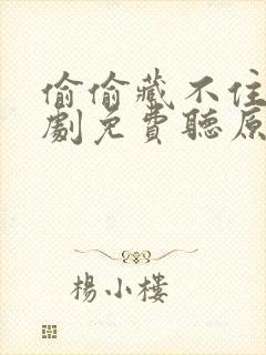 偷偷藏不住广播剧免费听原版