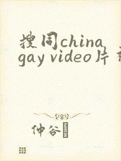 搜同chinagay video片视频