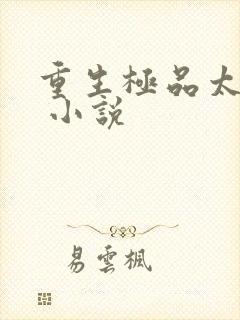 重生极品太子爷 小说