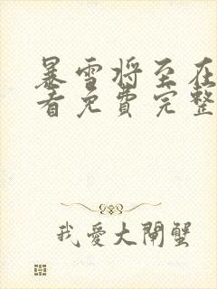 暴雪将至在线观看免费完整版