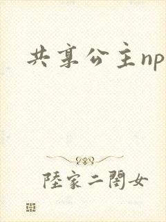 共享公主npc