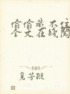 偷偷藏不住小说全文在线阅读