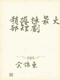 赵振栋最火10部短剧封面