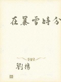 在暴雪时分几集