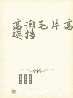 高潮毛片高清无遮挡