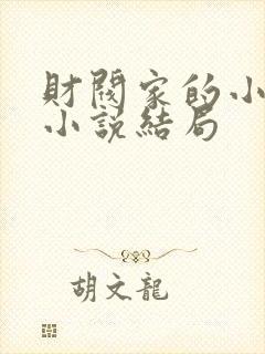 财阀家的小儿子小说结局