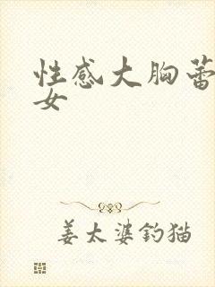 性感大胸蕾丝美女