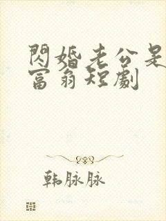 闪婚老公是亿万富翁短剧