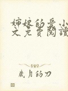 婶娘的爱小说全文免费阅读