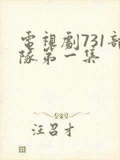 电视剧731部队第一集封面