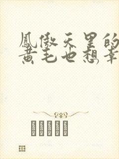 凤傲天里的反派黄毛也想幸福小说