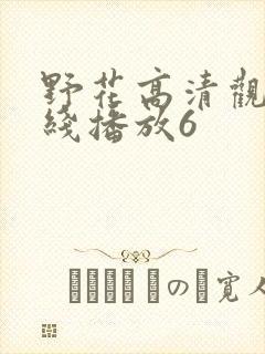 野花高清观看在线播放6