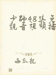 少帅48集免费观看视频播放