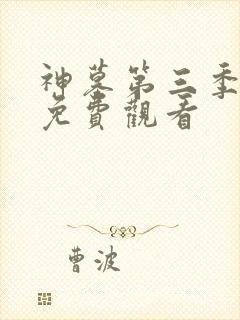 神墓第三季年番免费观看