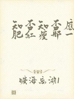 知否知否应是绿肥红瘦哪一年播出的封面