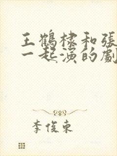 王鹤棣和张凌赫一起演的剧封面