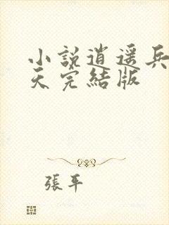 小说逍遥兵王洛天完结版封面