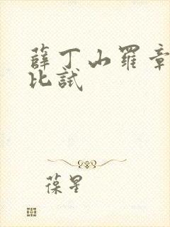 薛丁山罗章参加比试