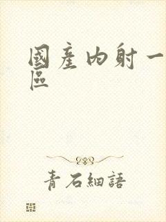 国产内射一片一区封面