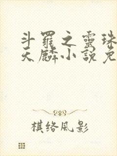 斗罗之灵珠神剑天麟小说免费阅读无弹窗封面