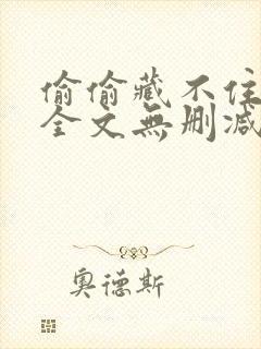 偷偷藏不住小说全文无删减封面