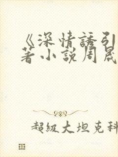 《深情诱引》原著小说周晟安结局