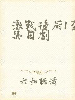 激战后厨1至5集日剧