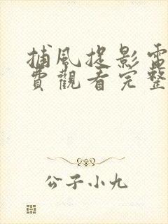 捕风捉影电影免费观看完整国语高清