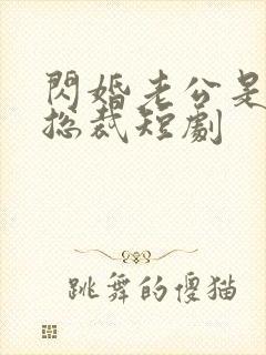 闪婚老公是亿万总裁短剧