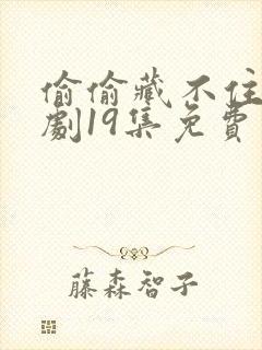 偷偷藏不住广播剧19集免费