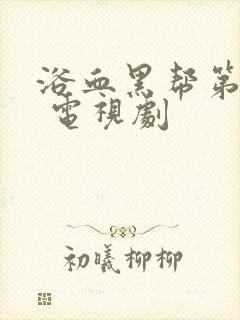 浴血黑帮第六季 电视剧