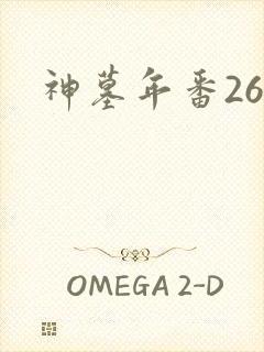 神墓年番26集封面