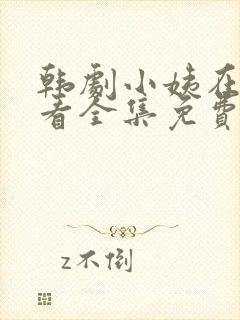 韩剧小姨在线观看全集免费