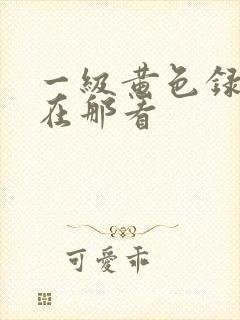 一级黄色录像片在那看