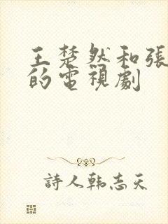 王楚然和张凌赫的电视剧