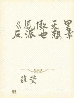 《凤傲天里黄毛反派也想幸福》小说