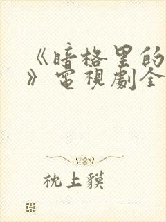 《暗格里的秘密》电视剧全集