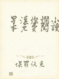 星汉灿烂小说完本免费阅读