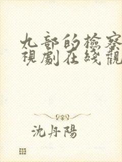 九部的检察官电视剧在线观看免费