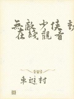 无敌少侠 动漫 在线观看封面