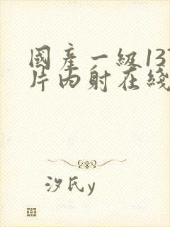 国产一级137片内射在线播放