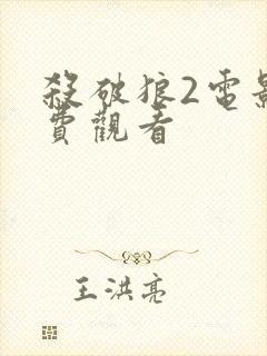 杀破狼2电影免费观看封面