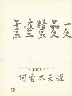 午夜精品一区二区三区久久